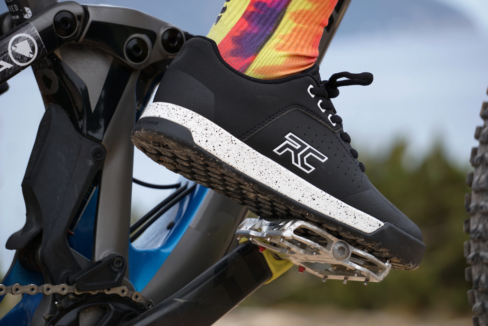 Ride Concepts Hellion Elite FlatpedalSchuh Produkttest