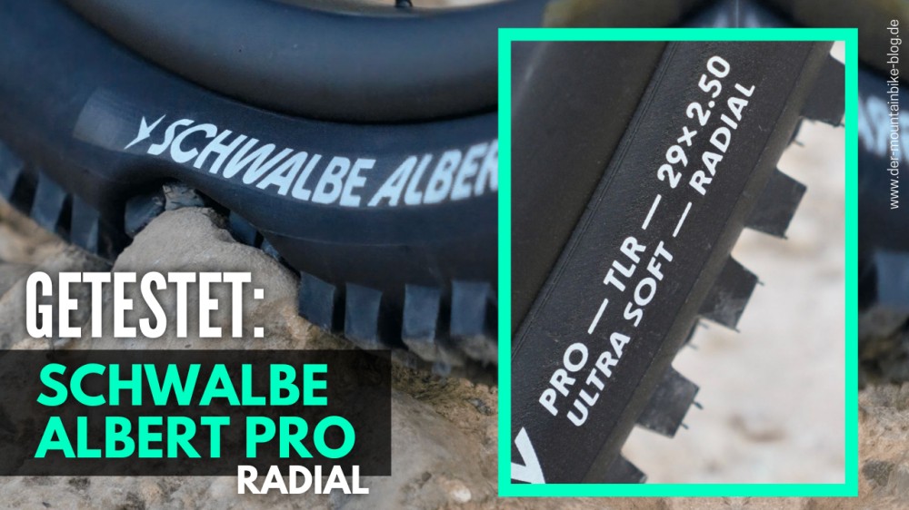 Erfahrungsbericht und Test Schwalbe Albert Radial Pro